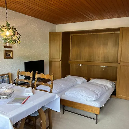 Apart Otel Appartementhaus Birkenwald Seefeld in Tirol