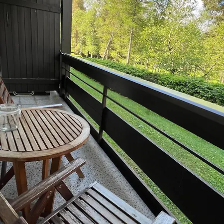 Appartementhaus Birkenwald Ζέεφελντ