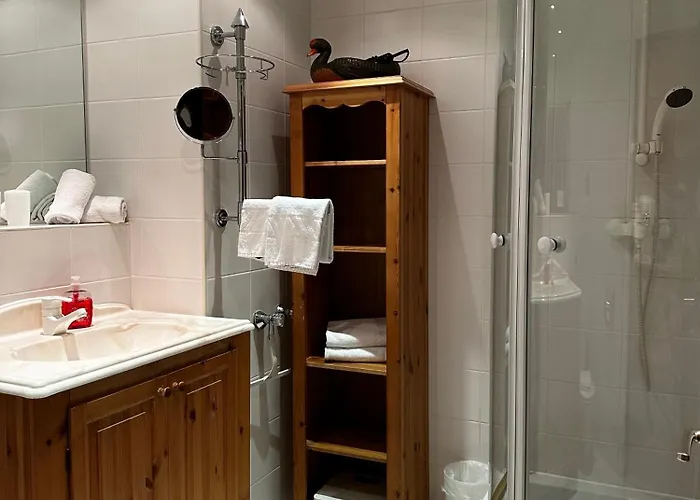 Appartementhaus Birkenwald 4* 蒂罗尔-泽费尔德