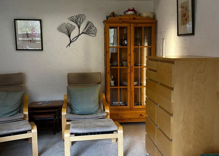 Appartementhaus Birkenwald 公寓式酒店