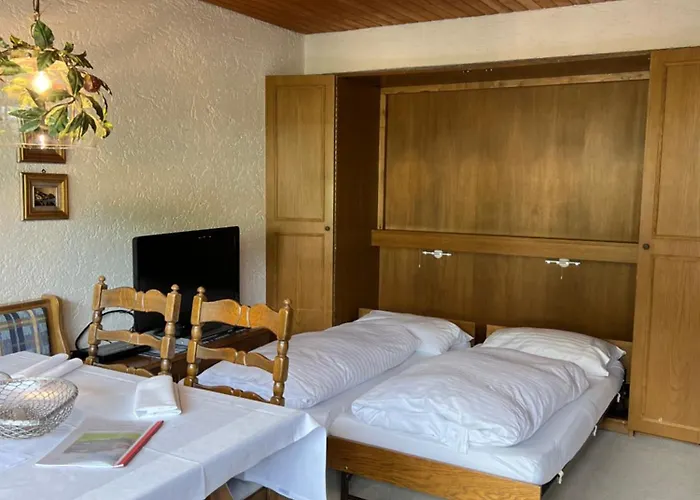 公寓式酒店 Appartementhaus Birkenwald 蒂罗尔-泽费尔德